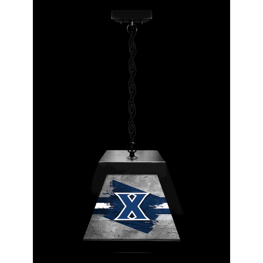 Xavier Pendant Box Light. Picture 3