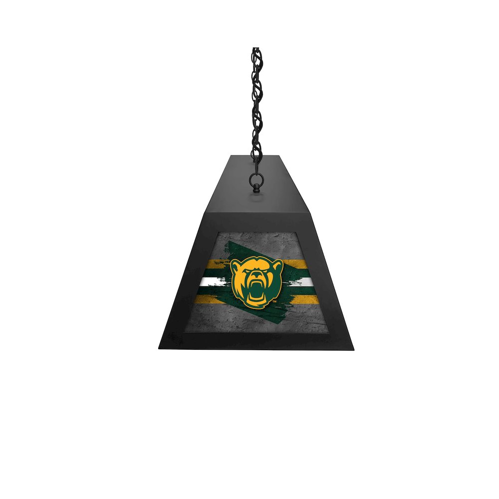 Baylor University Long Box Billiard Light. Picture 3