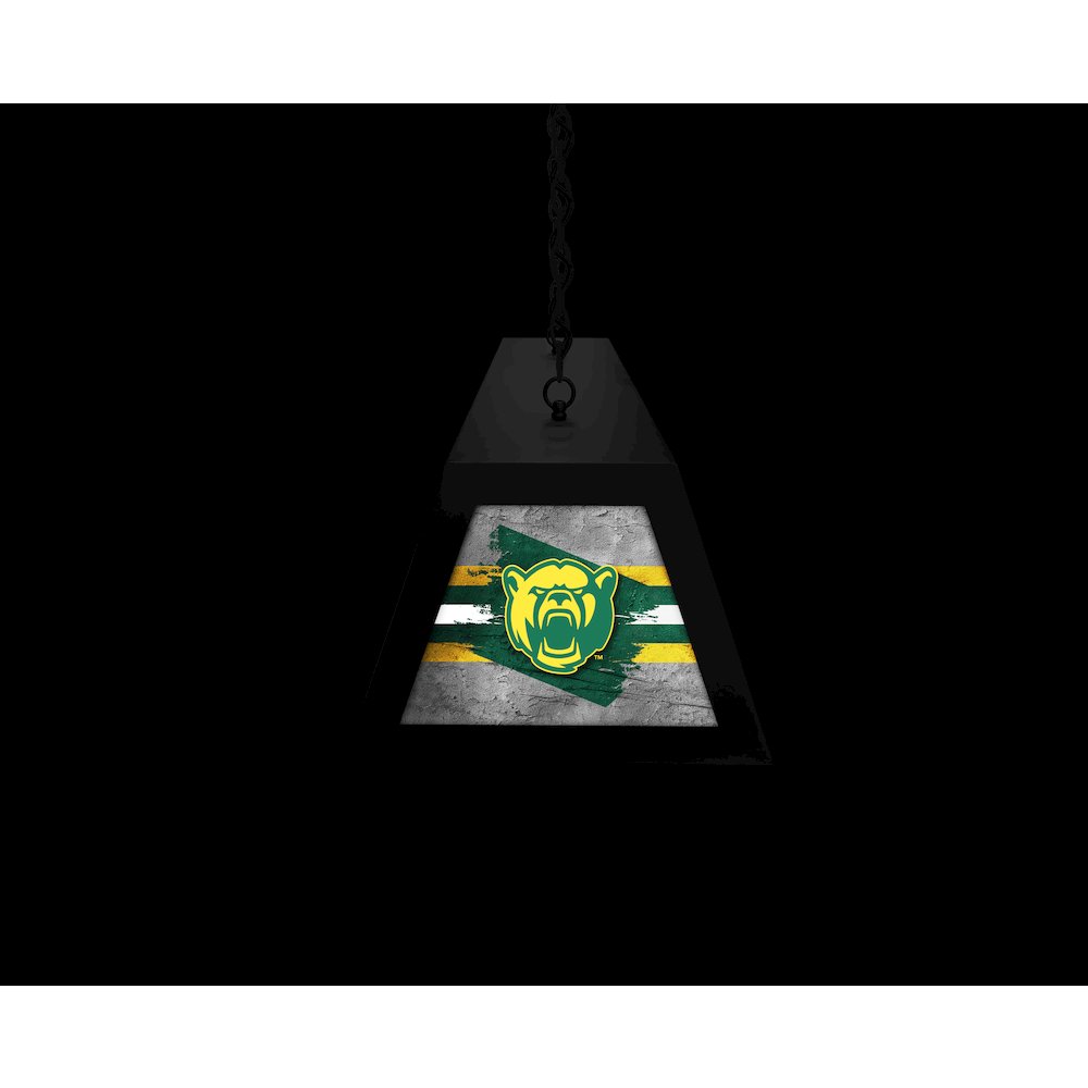 Baylor University Long Box Billiard Light. Picture 6