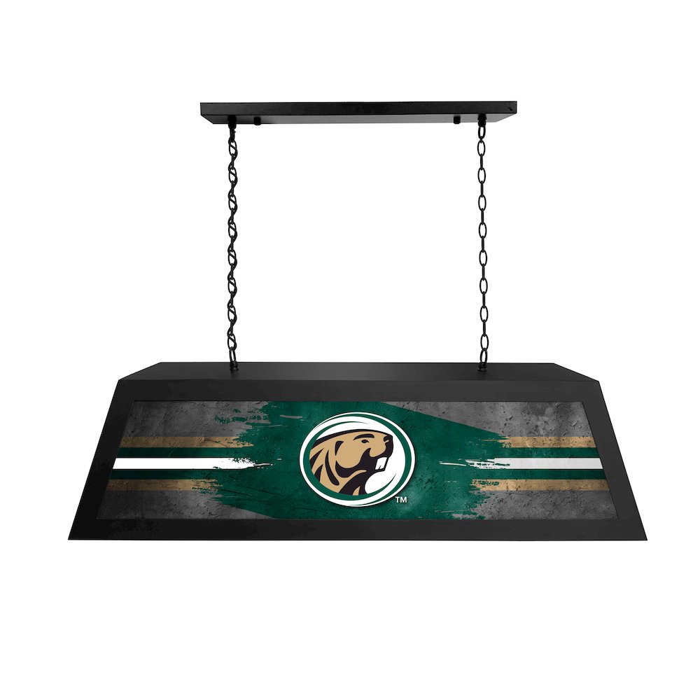 Bemidji State University Long Box Billiard Light. Picture 1