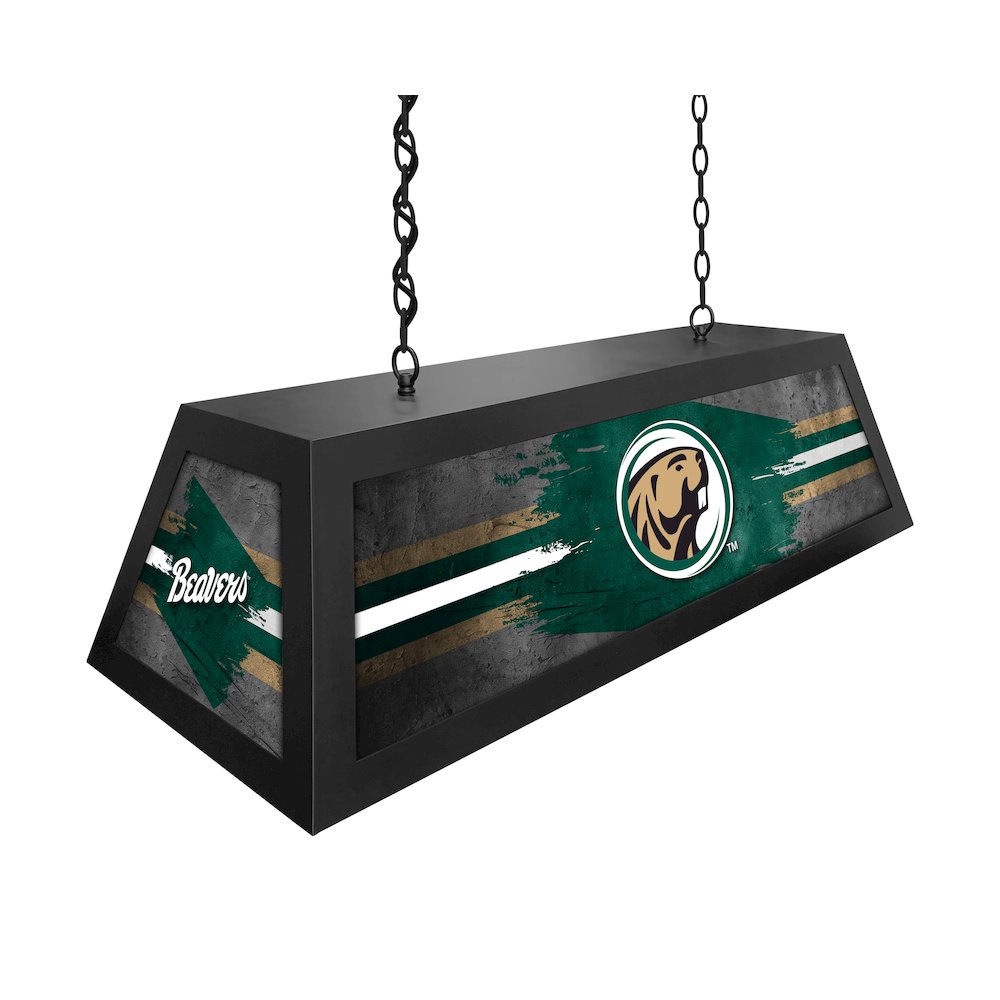 Bemidji State University Long Box Billiard Light. Picture 2