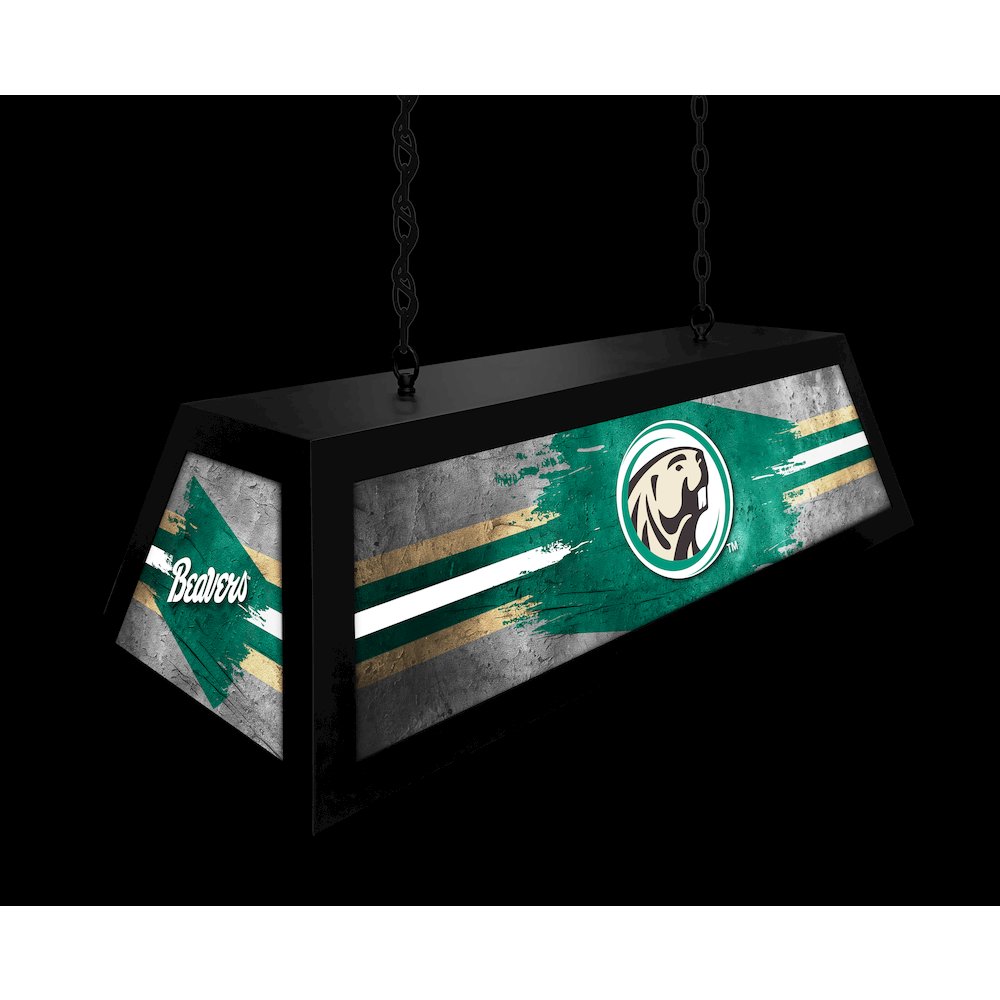 Bemidji State University Long Box Billiard Light. Picture 5
