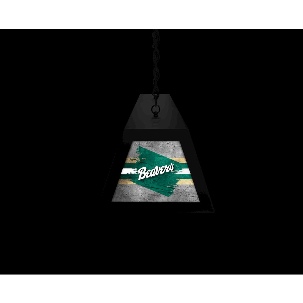 Bemidji State University Long Box Billiard Light. Picture 6