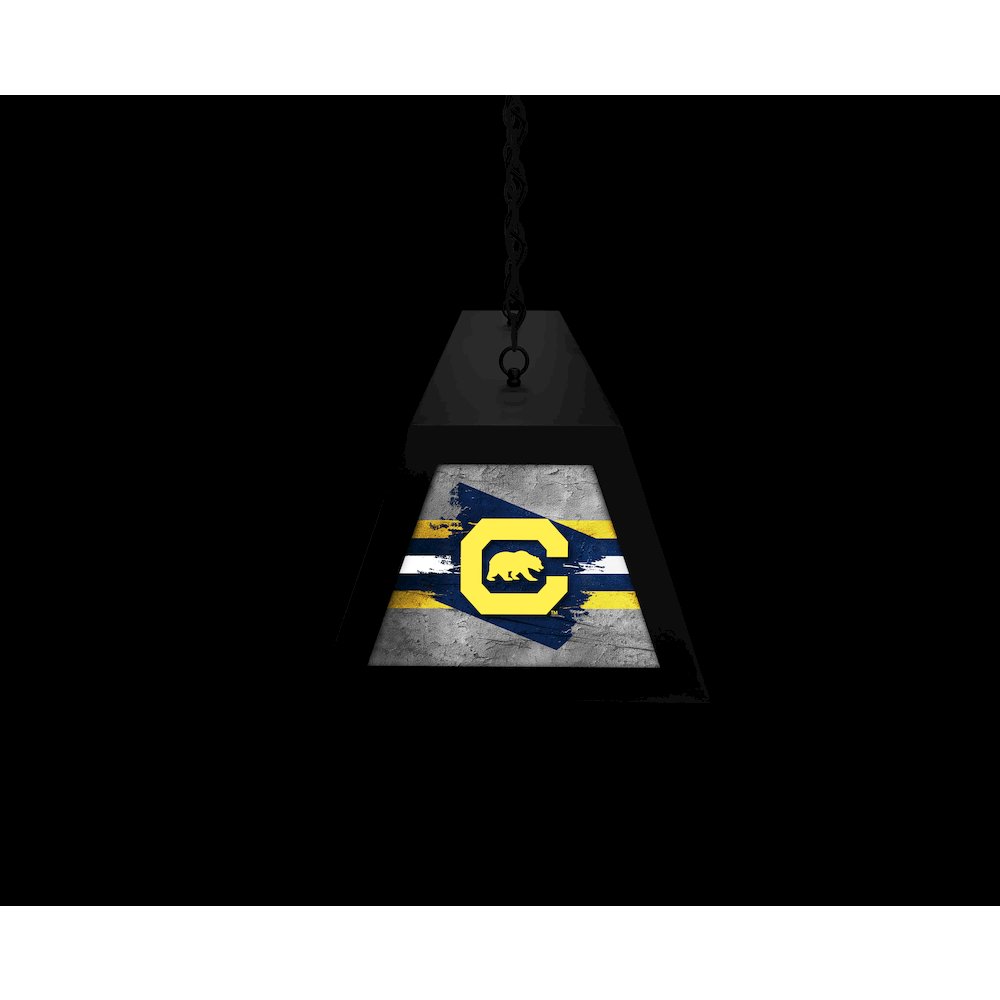 University of California Long Box Billiard Light. Picture 6