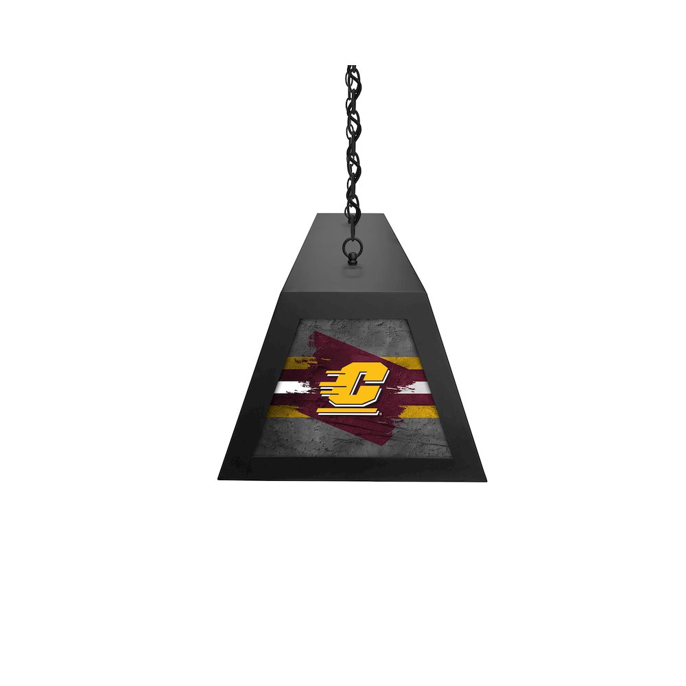Central Michigan University Long Box Billiard Light. Picture 3