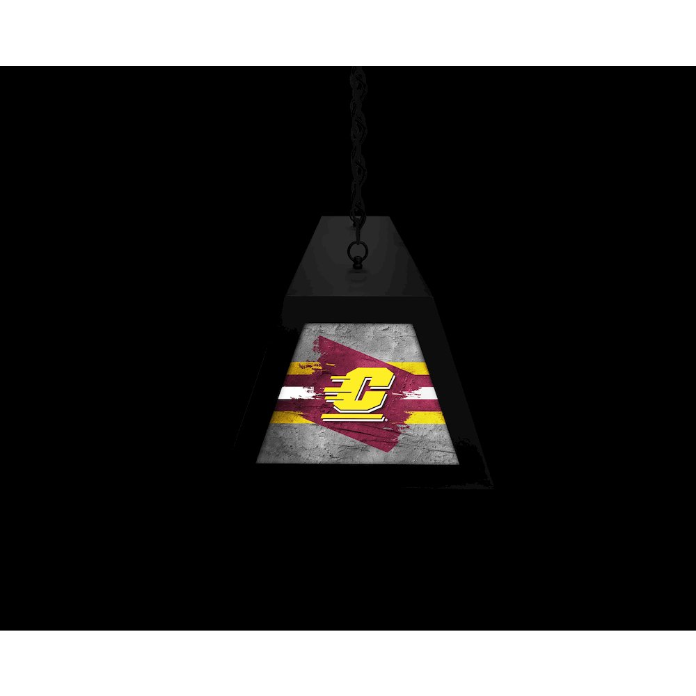 Central Michigan University Long Box Billiard Light. Picture 6