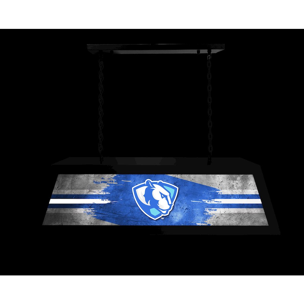 Eastern Illinois University Long Box Billiard Light. Picture 4