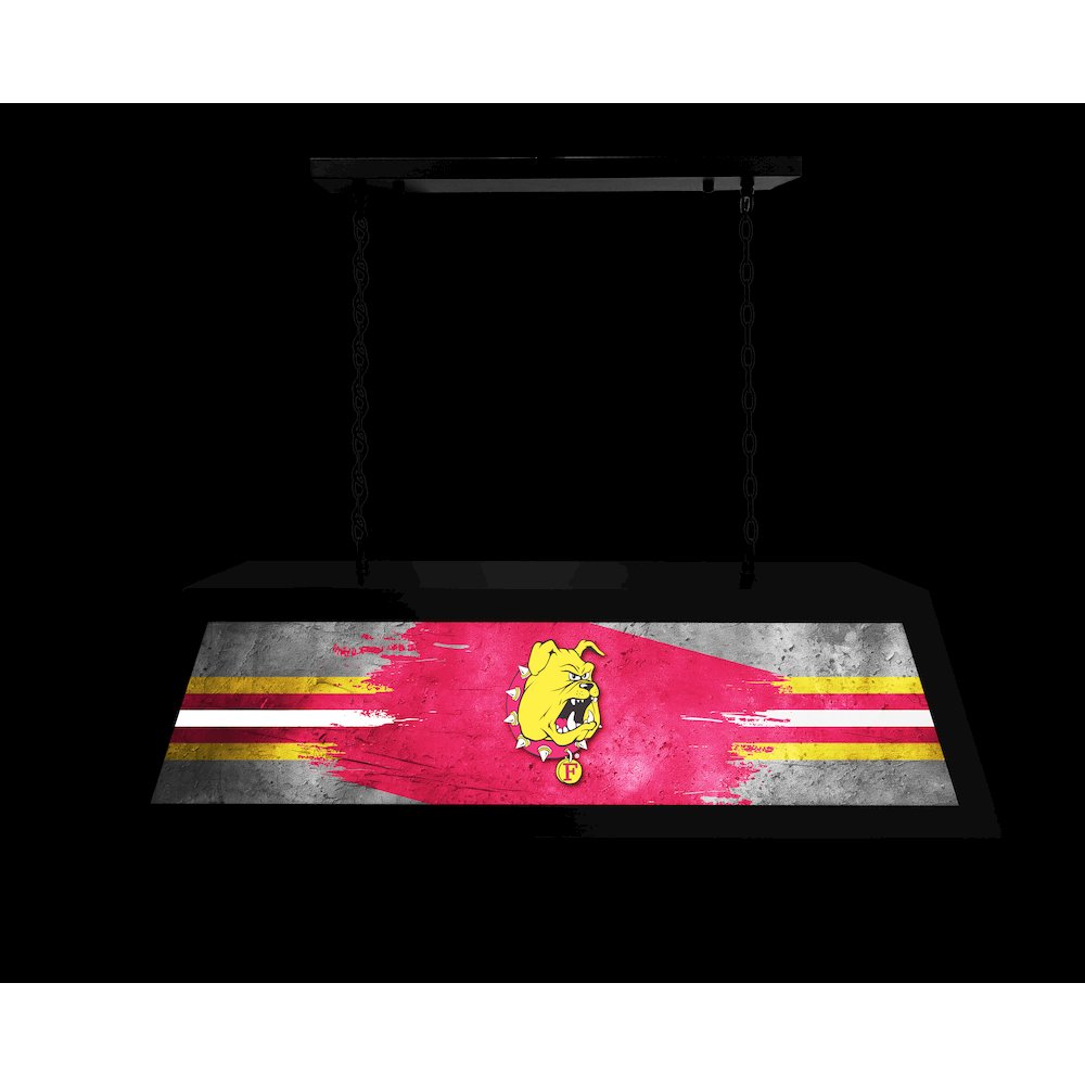 Ferris State University Long Box Billiard Light. Picture 4