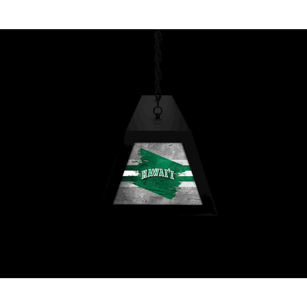 University of Hawaii Long Box Billiard Light. Picture 6