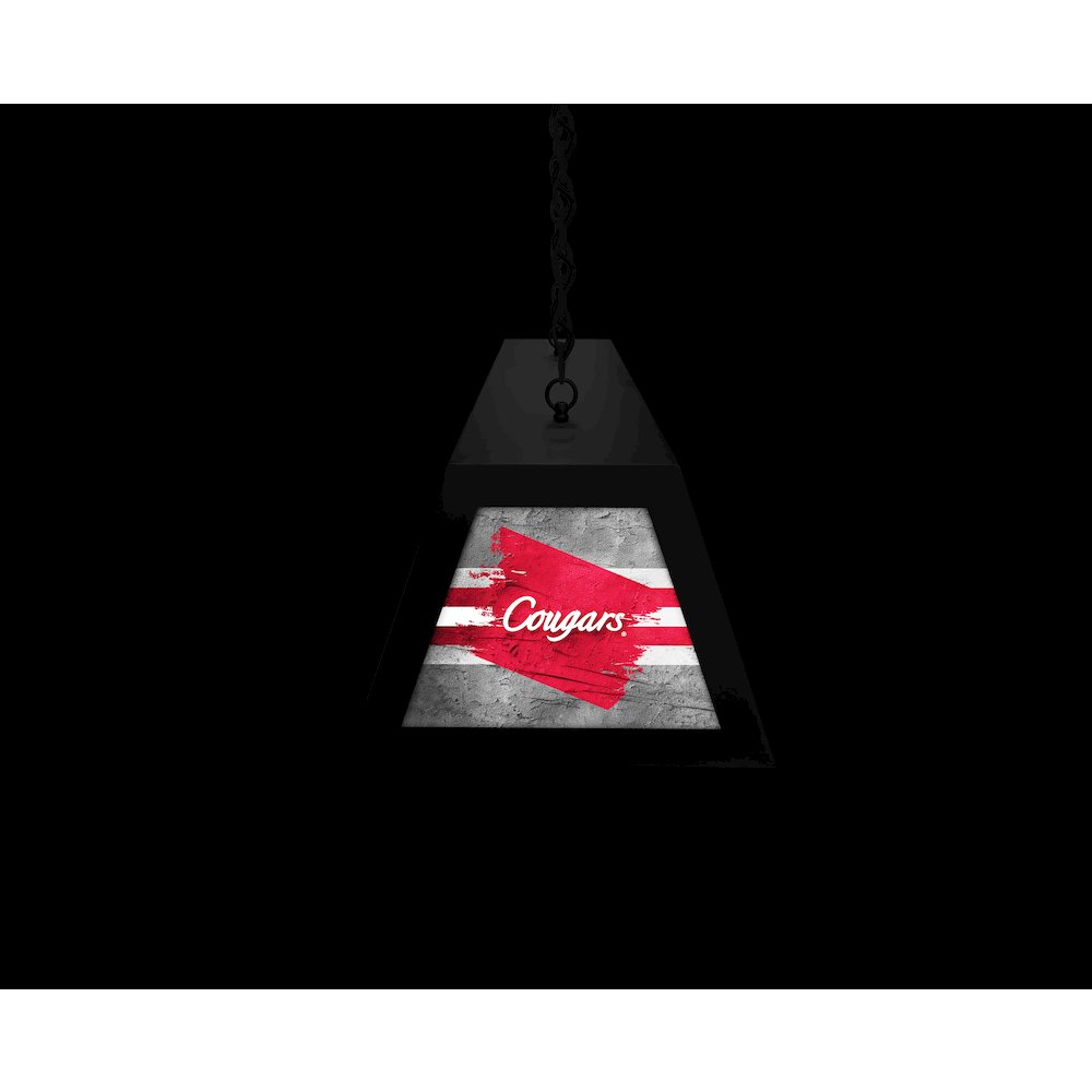 University of Houston Long Box Billiard Light. Picture 6