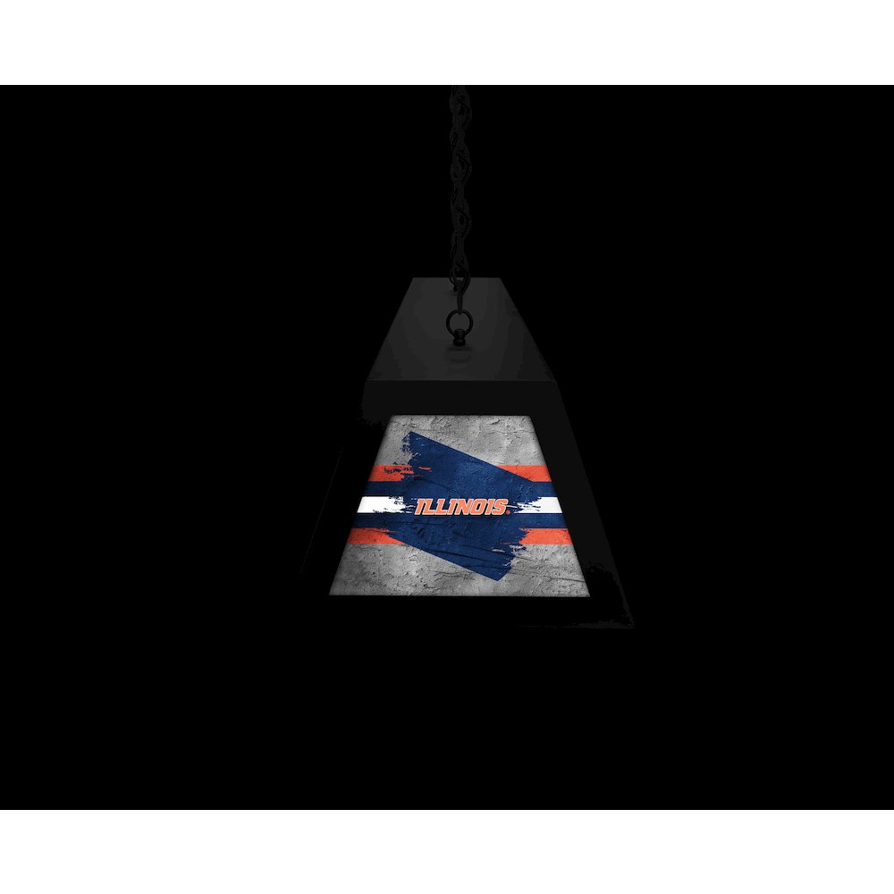 University of Illinois Long Box Billiard Light. Picture 6