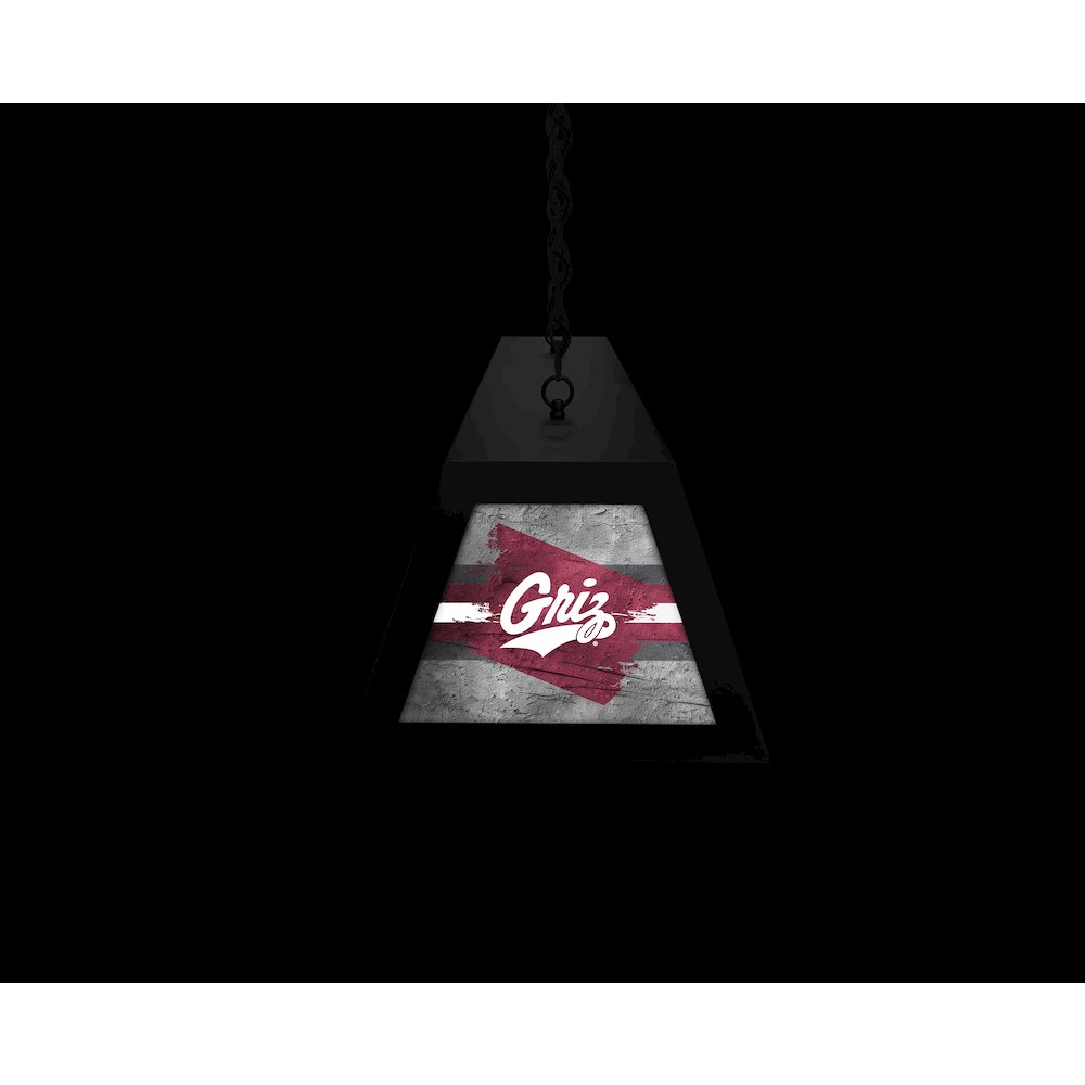 University of Montana Long Box Billiard Light. Picture 6