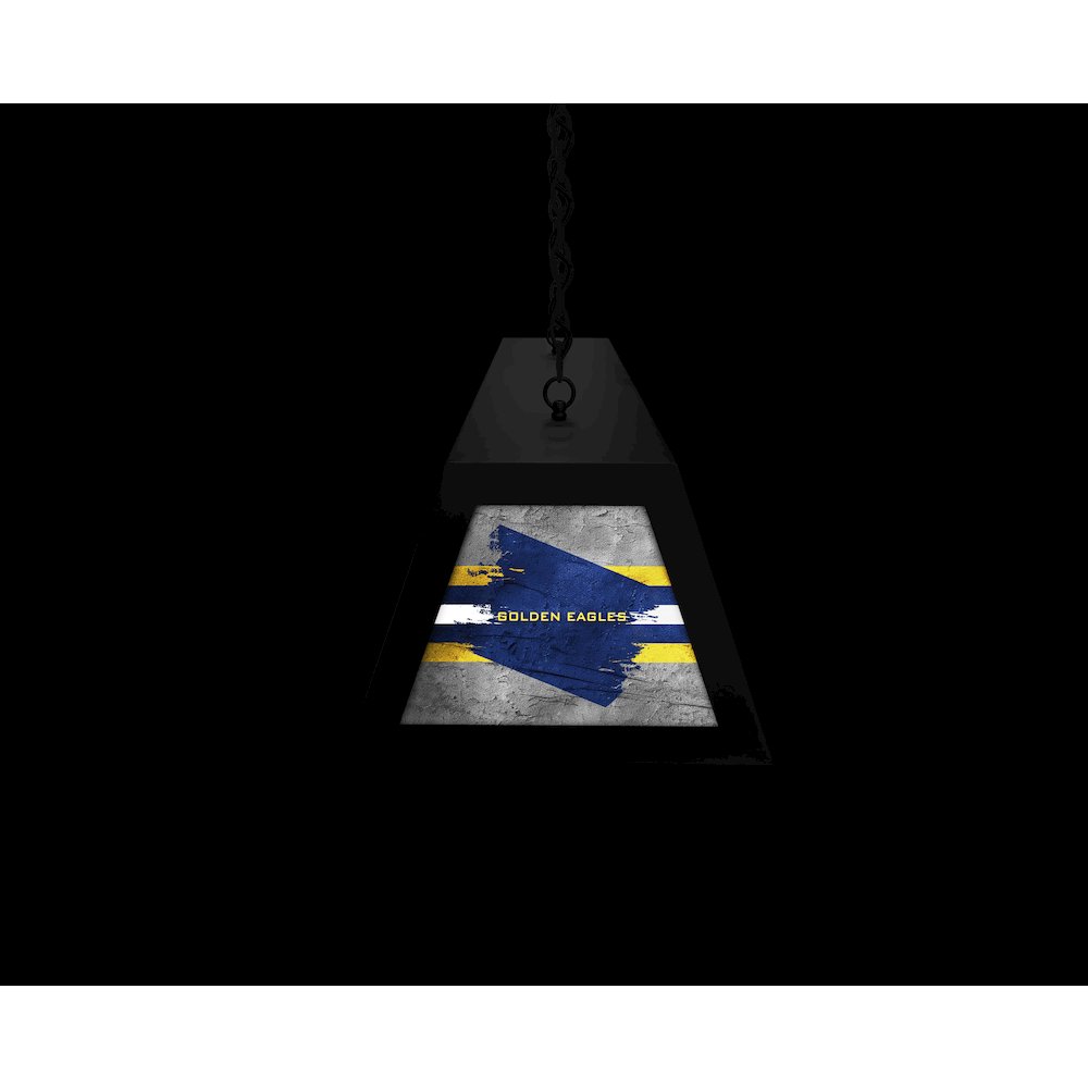 Marquette University Long Box Billiard Light. Picture 6