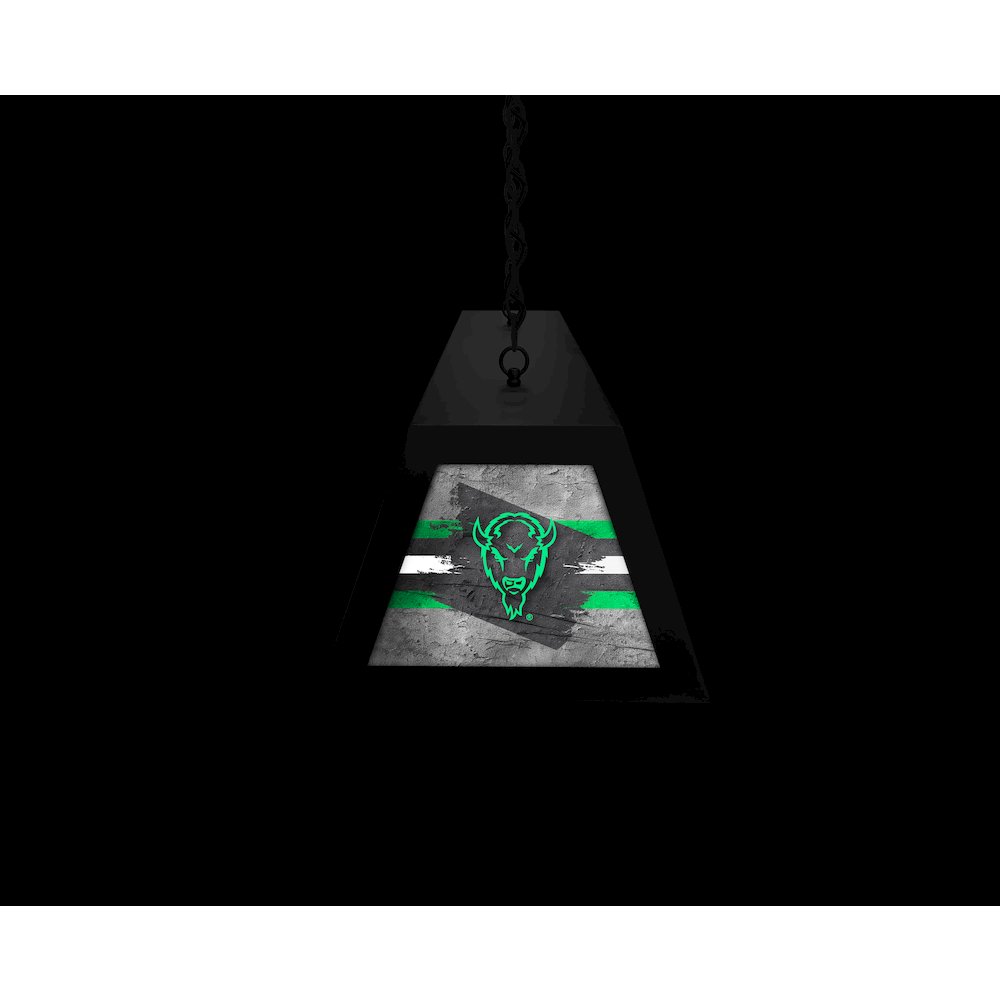Marshall University Long Box Billiard Light. Picture 6
