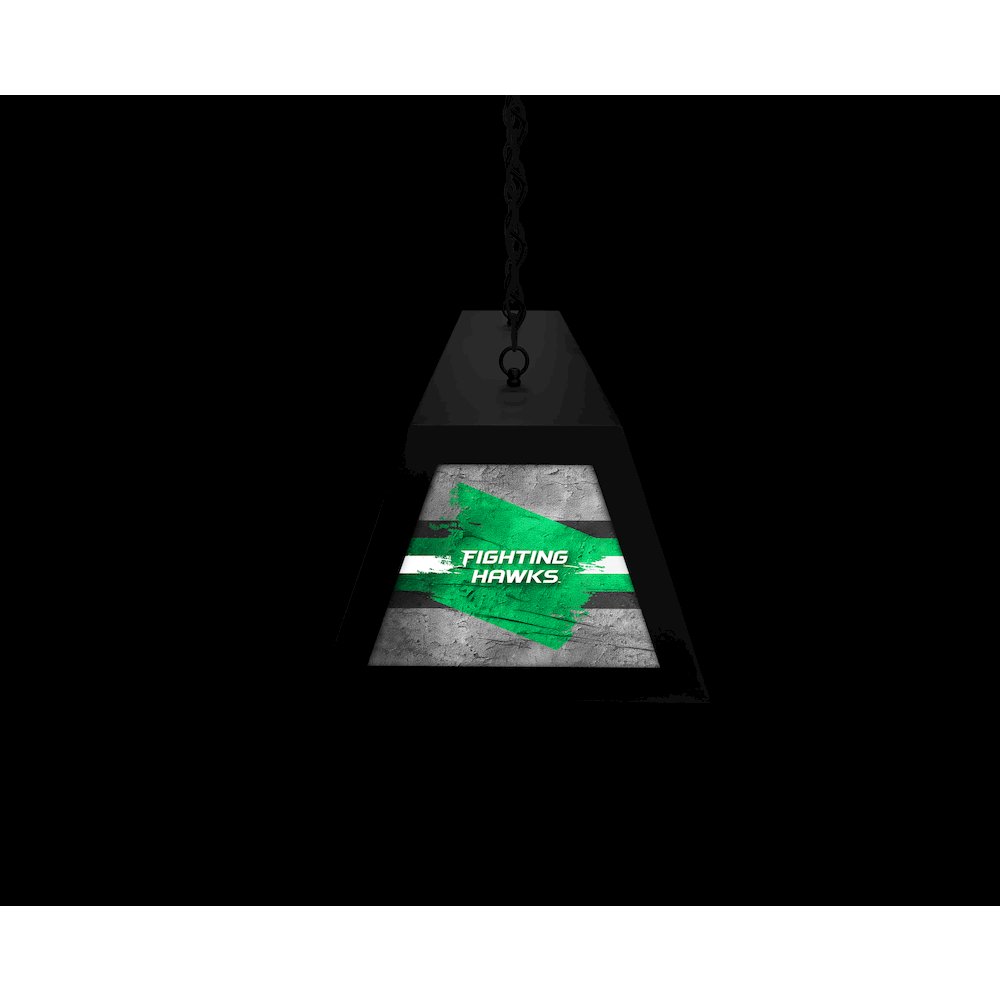 University of North Dakota Long Box Billiard Light. Picture 6