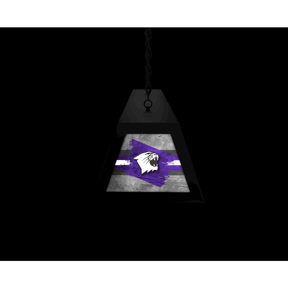 Northwestern University Long Box Billiard Light. Picture 6