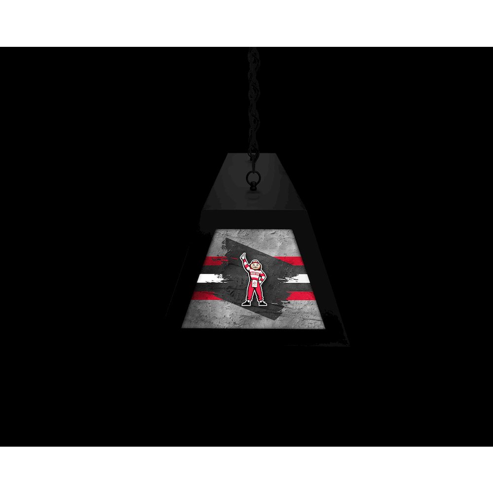 Ohio State University Long Box Billiard Light. Picture 6