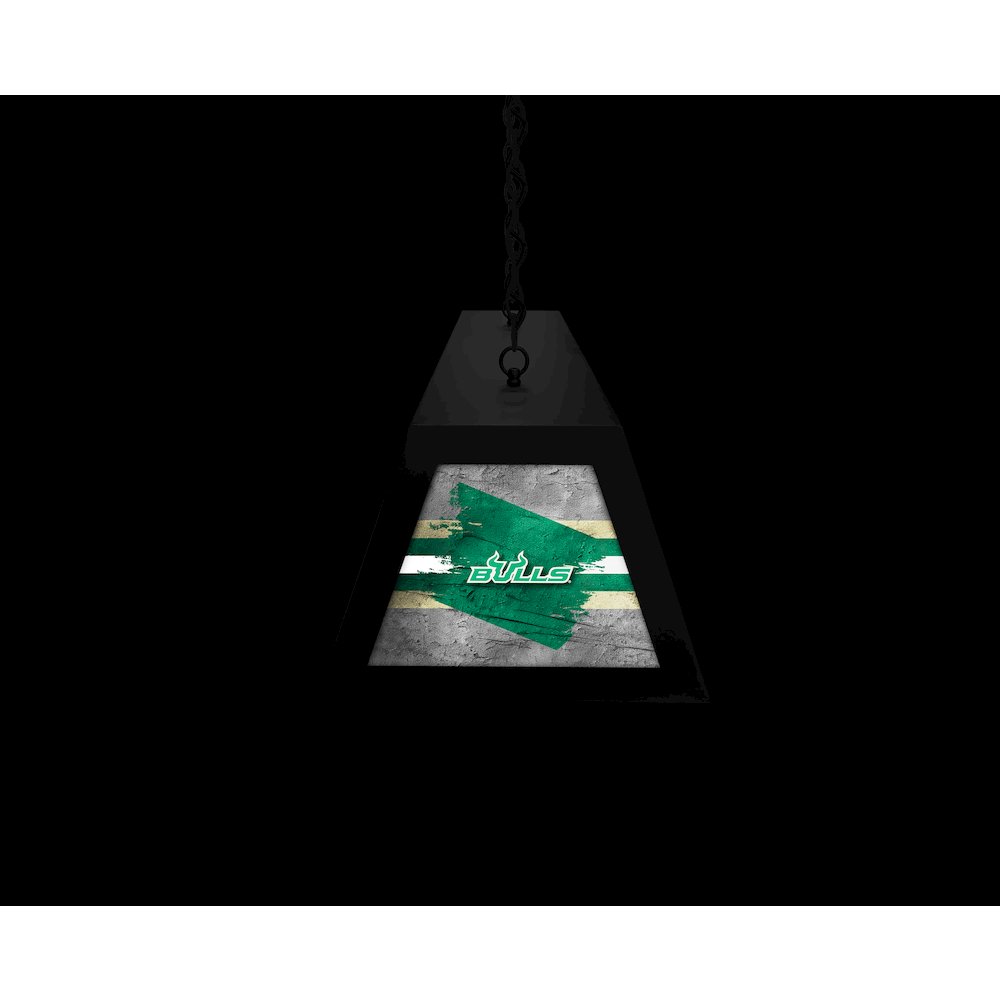 University of South Florida Long Box Billiard Light. Picture 6