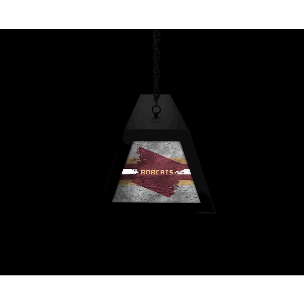 Texas State University Long Box Billiard Light. Picture 6