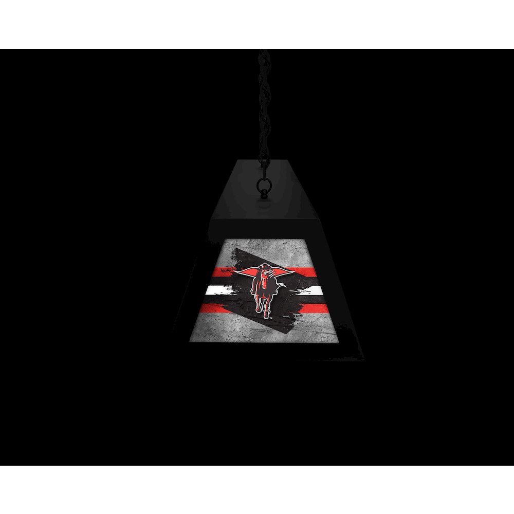 Texas Tech University Long Box Billiard Light. Picture 6