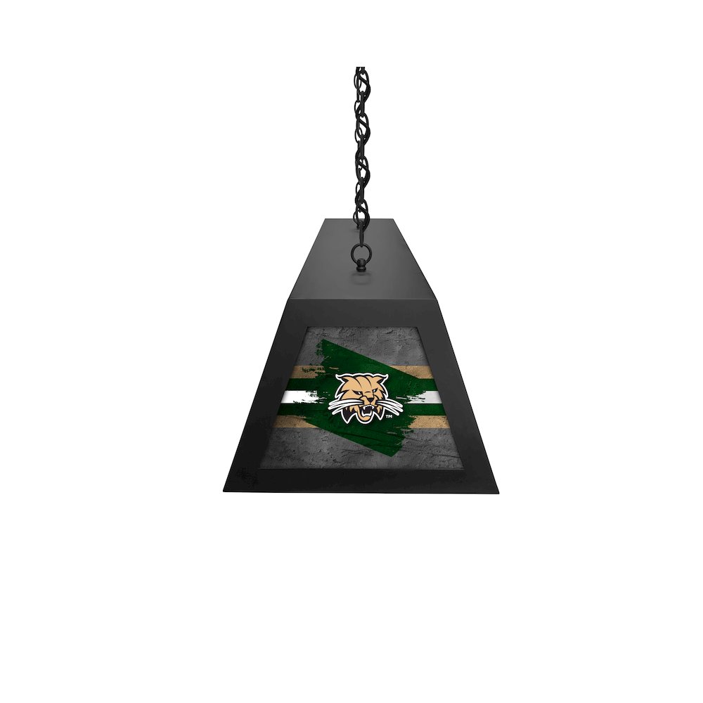 Ohio University Long Box Billiard Light. Picture 3