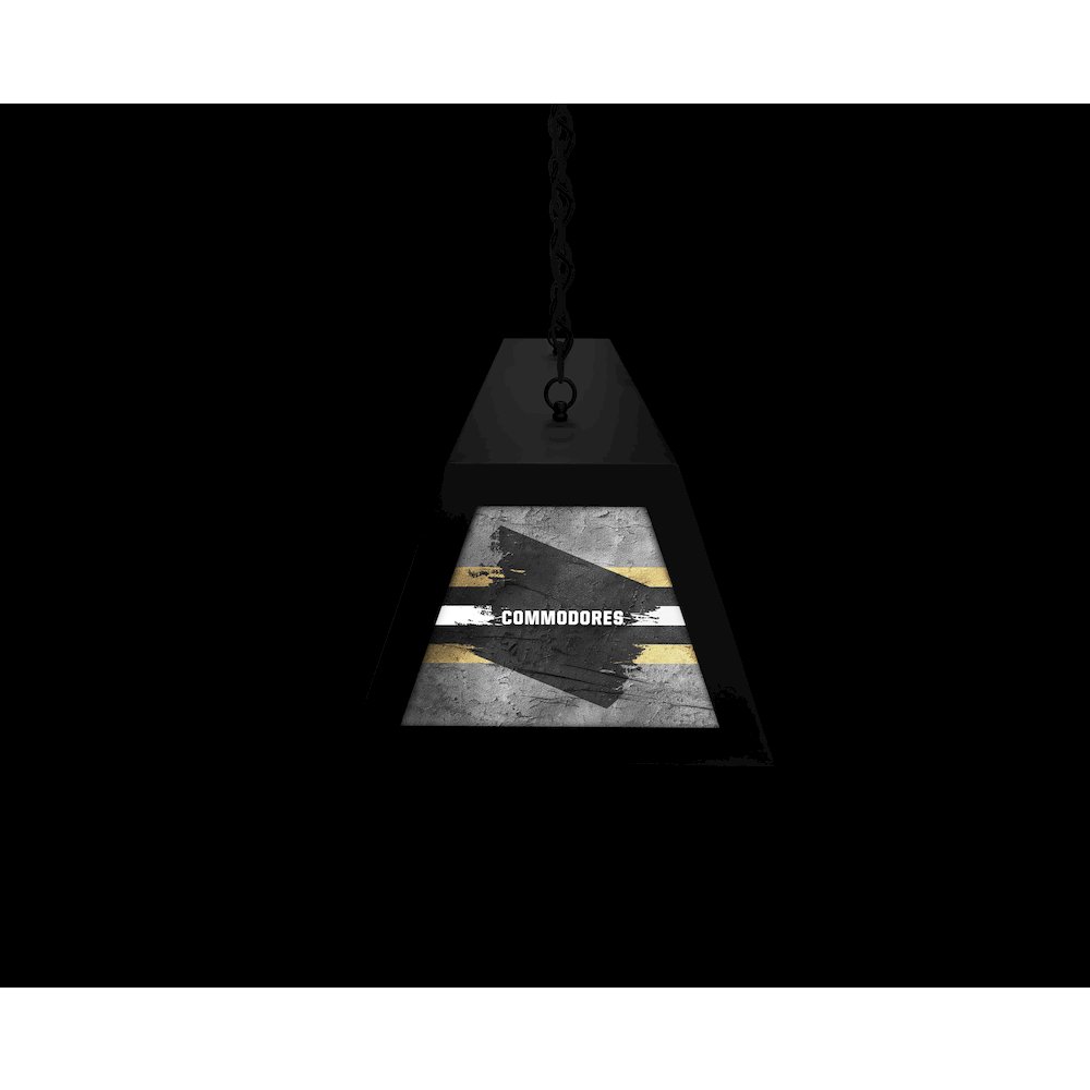 Vanderbilt University Long Box Billiard Light. Picture 6