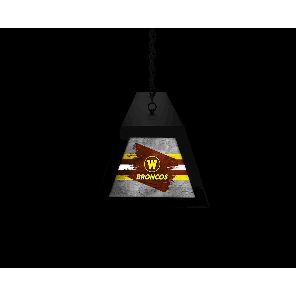 Western Michigan University Long Box Billiard Light. Picture 6