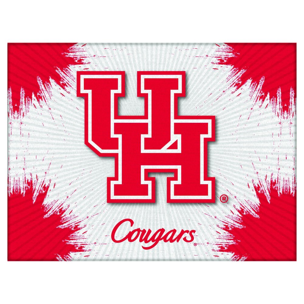 Houston 15" x 20" Officially Licensed Logo Canvas. Picture 1