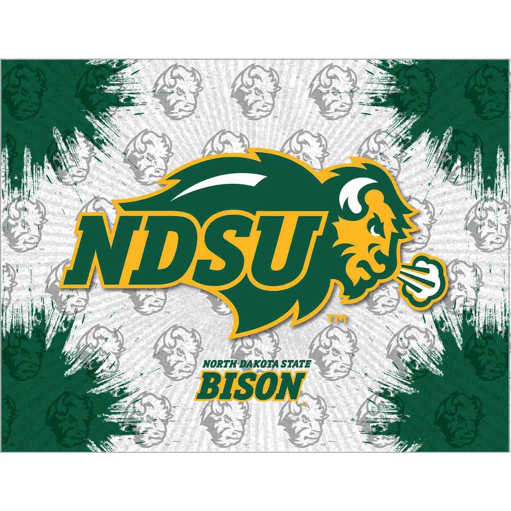 North Dakota State 15" x 20" Officially Licensed Logo Canvas. Picture 1
