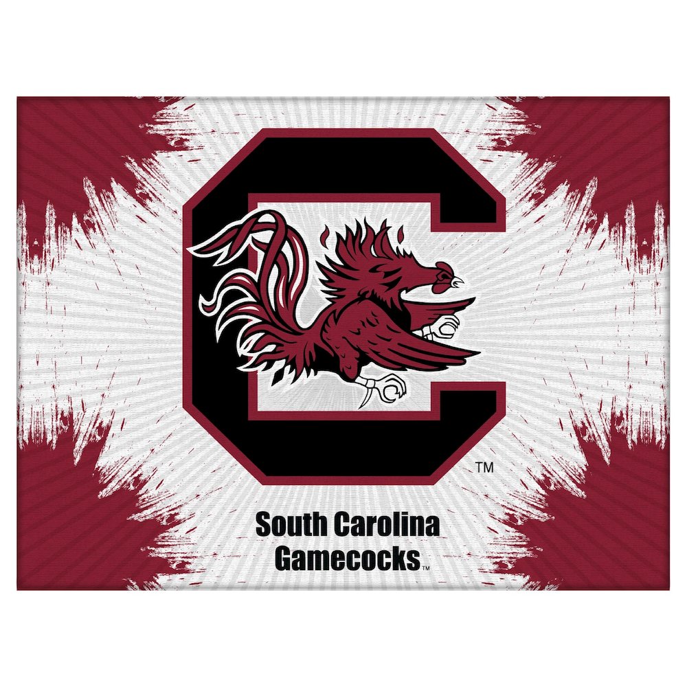 South Carolina 15" x 20" Officially Licensed Logo Canvas. Picture 1