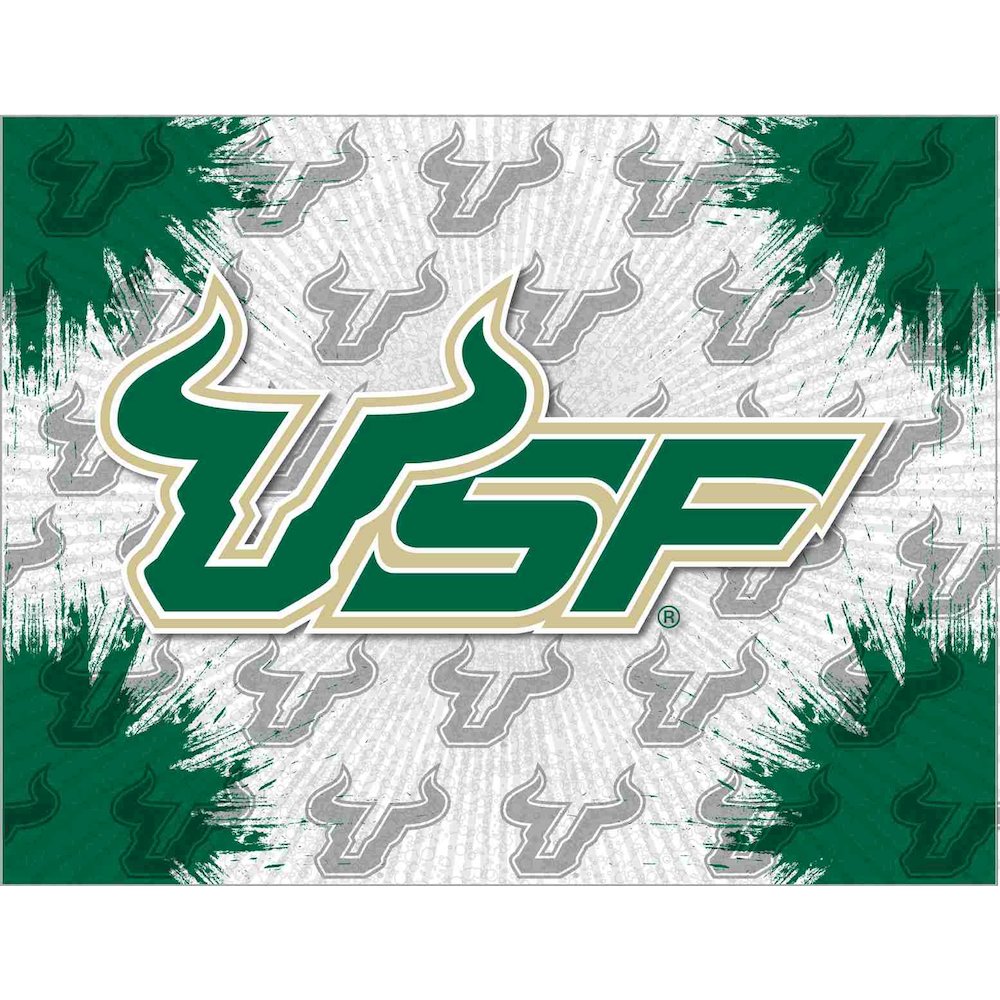 South Florida 15" x 20" Officially Licensed Logo Canvas. Picture 1