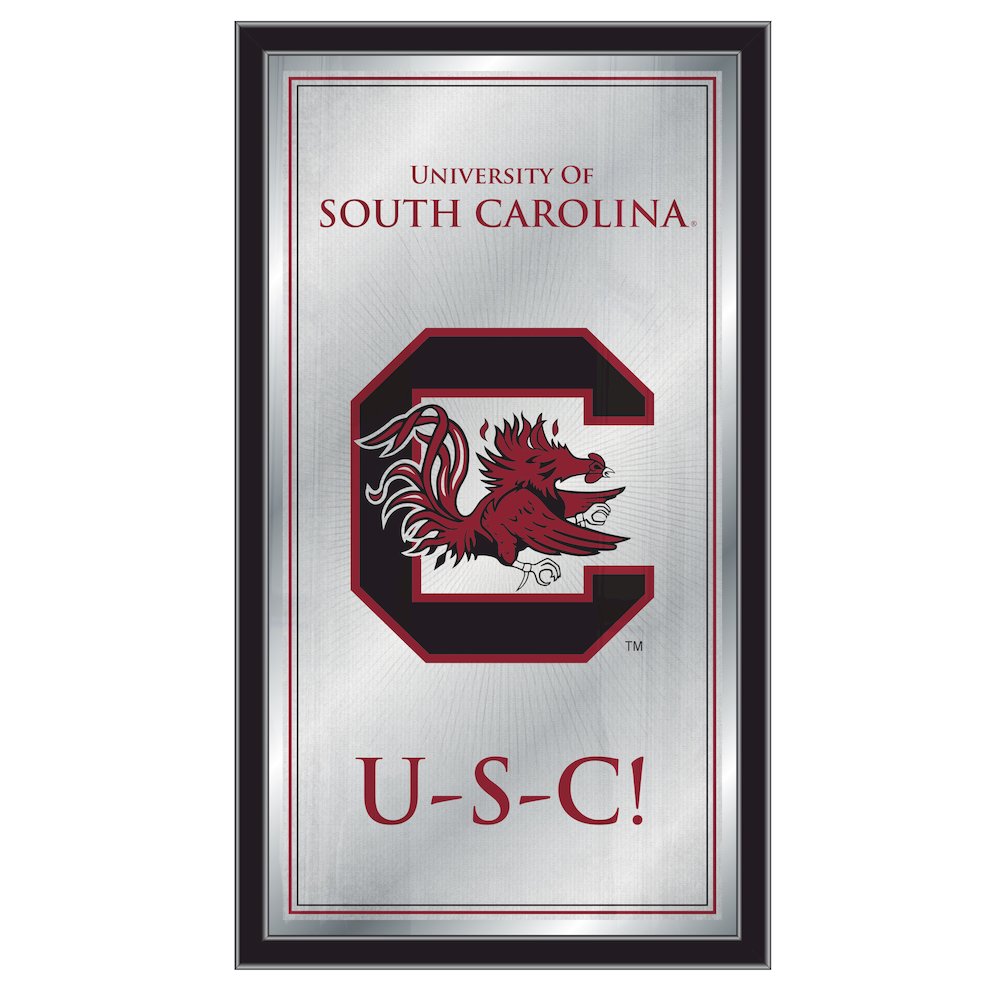 South Carolina 26" x 15" Fight Song Mirror. Picture 1