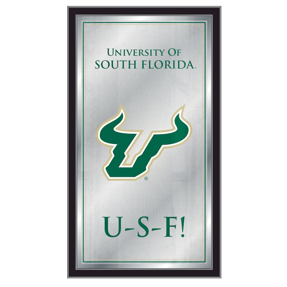 South Florida 26" x 15" Fight Song Mirror. Picture 1