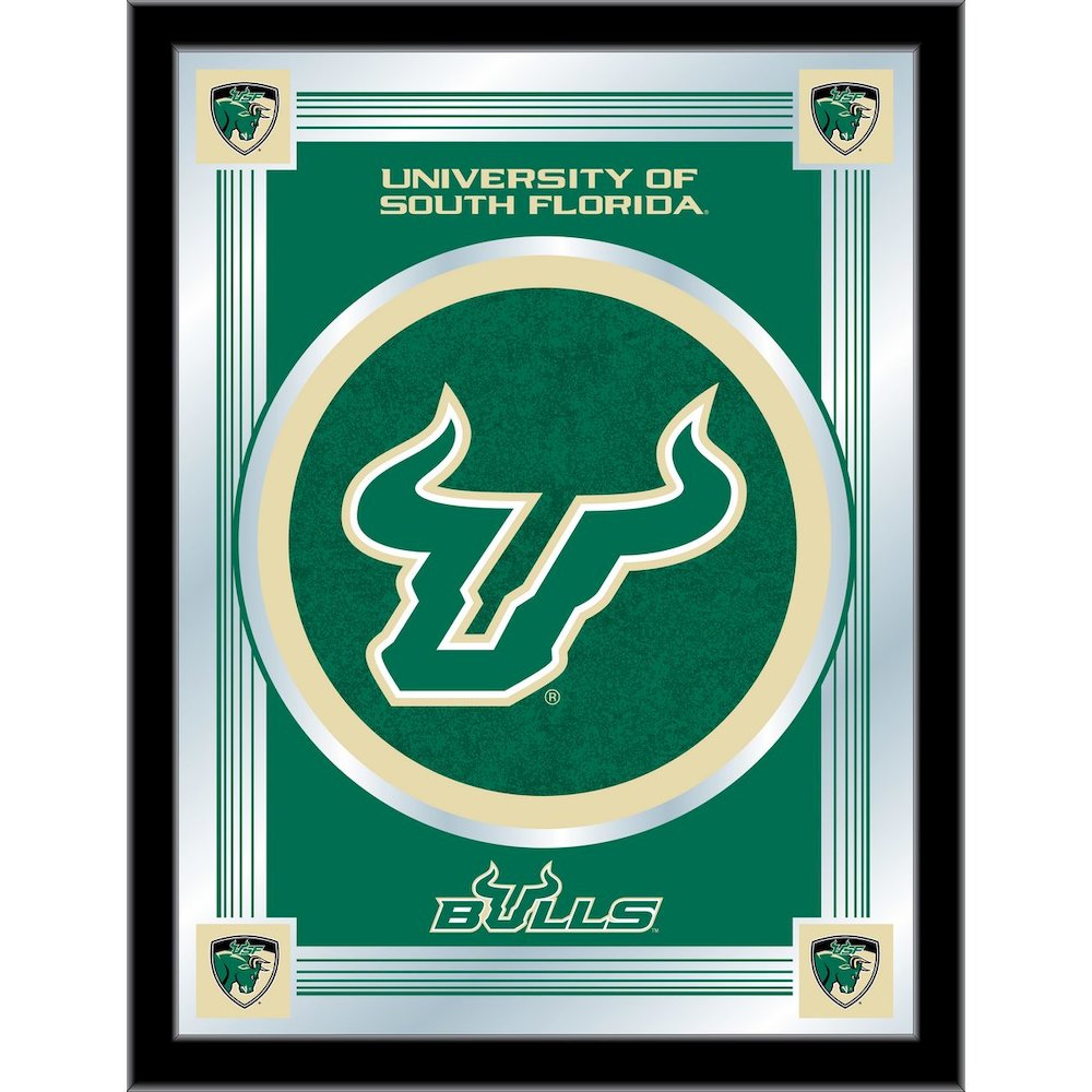 South Florida 17" x 22" Logo Mirror. Picture 1