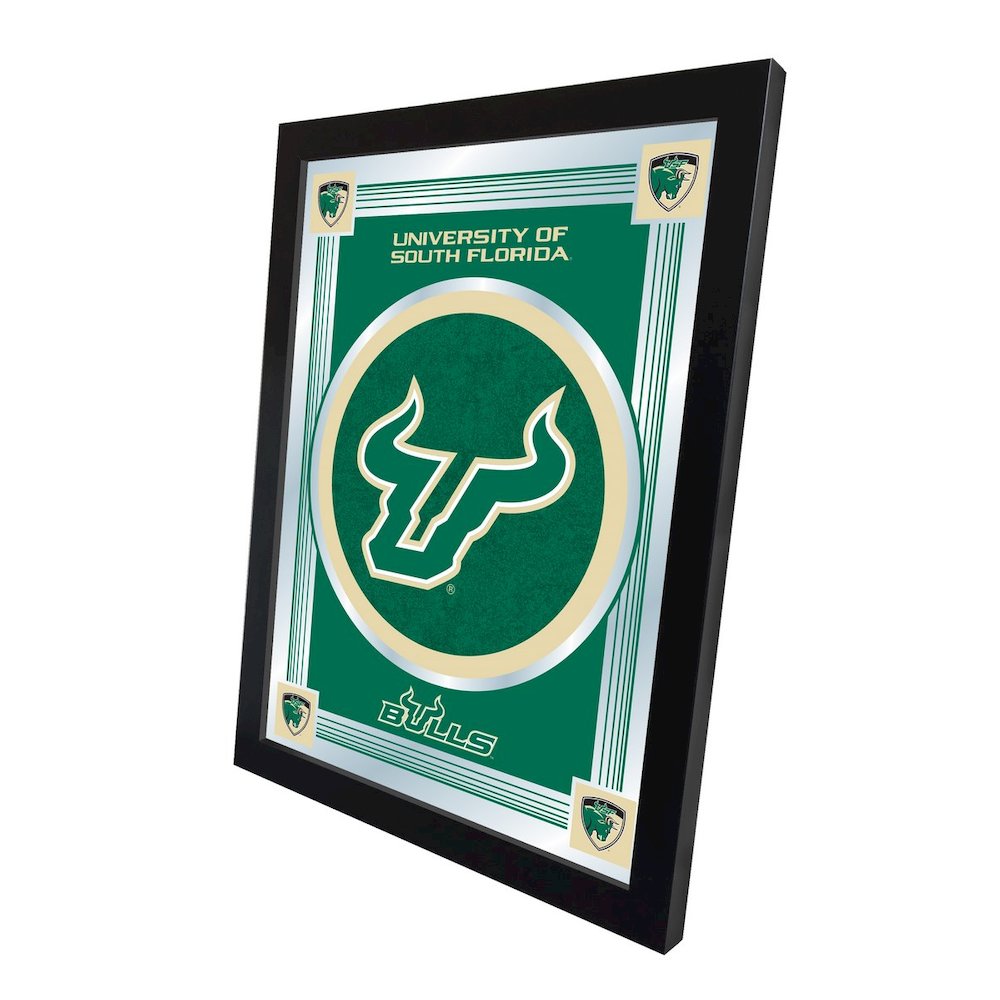 South Florida 17" x 22" Logo Mirror. Picture 2