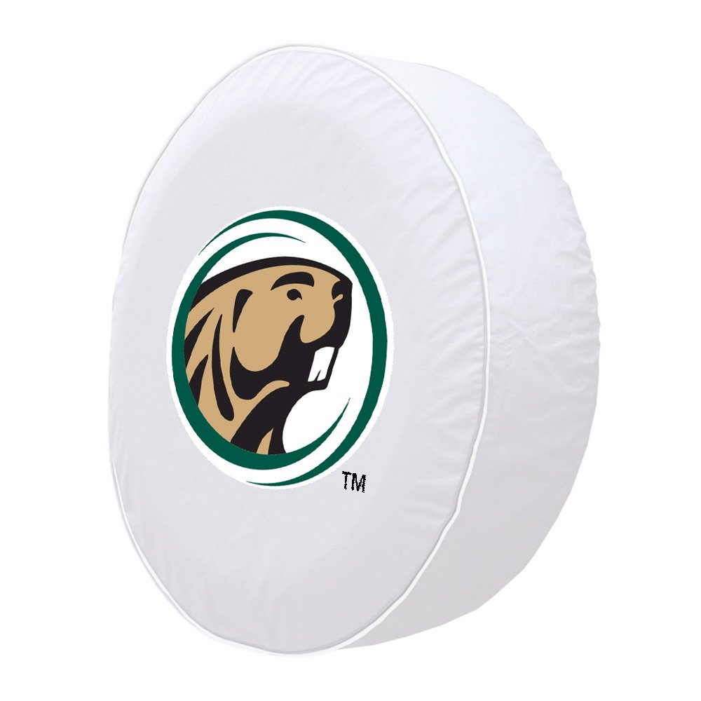 34 x 8 Bemidji State Tire Cover. Picture 2