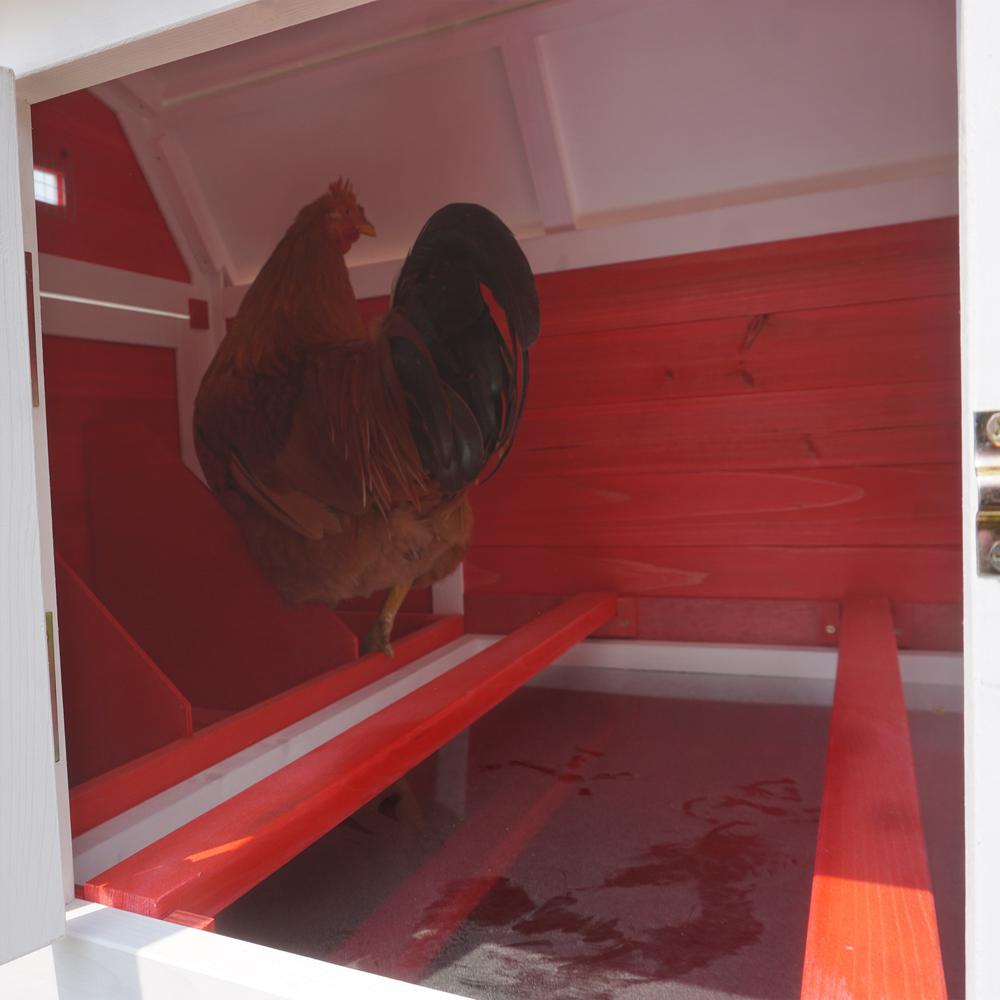 Big Farm Chicken Coop. Picture 5