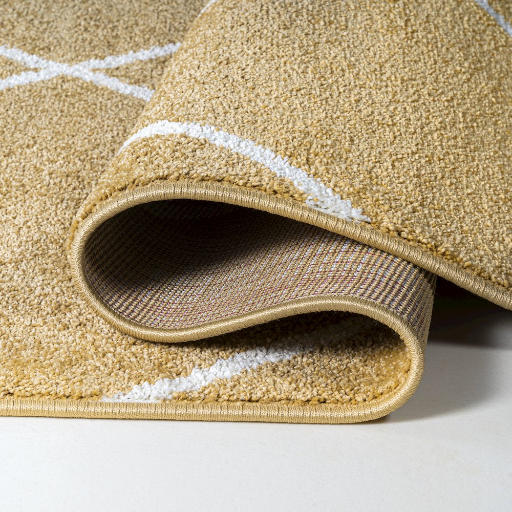 Cole Minimalist Diamond Trellis Area Rug. Picture 13