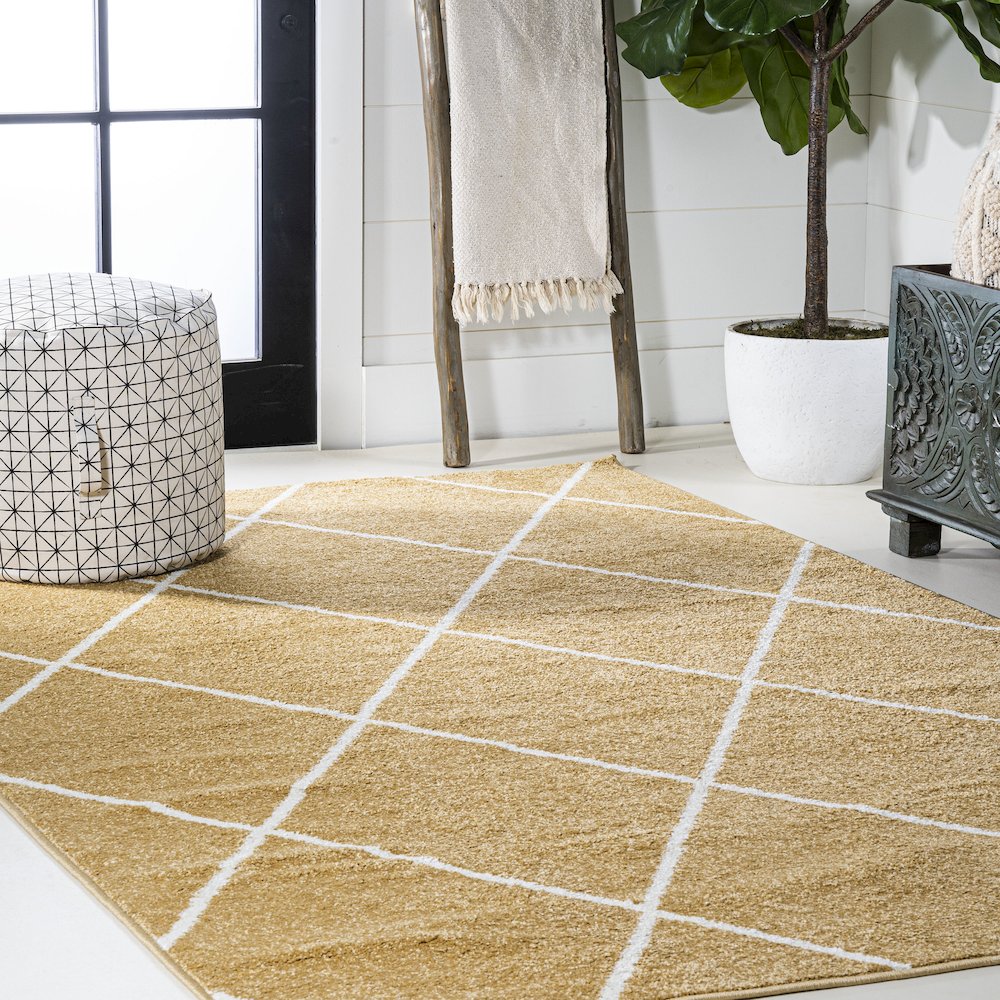 Cole Minimalist Diamond Trellis Area Rug. Picture 18