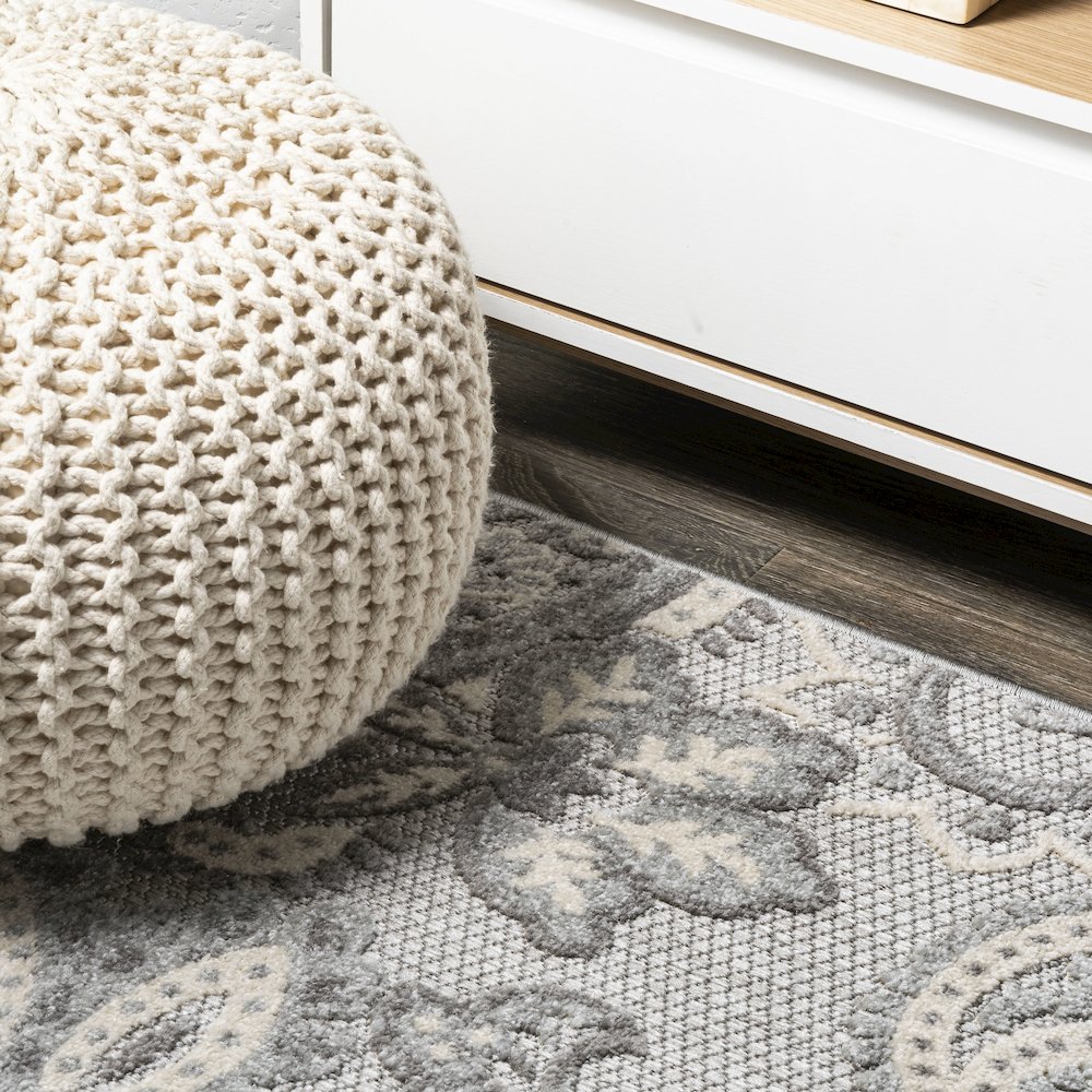 Gordes Paisley High-Low Indoor/Outdoor Area Rug. Picture 5