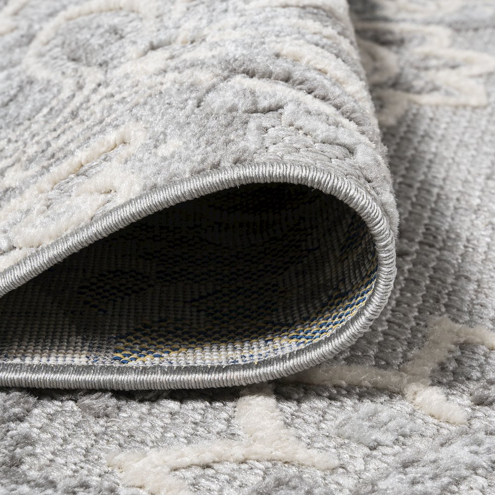 Gordes Paisley High-Low Indoor/Outdoor Area Rug. Picture 6