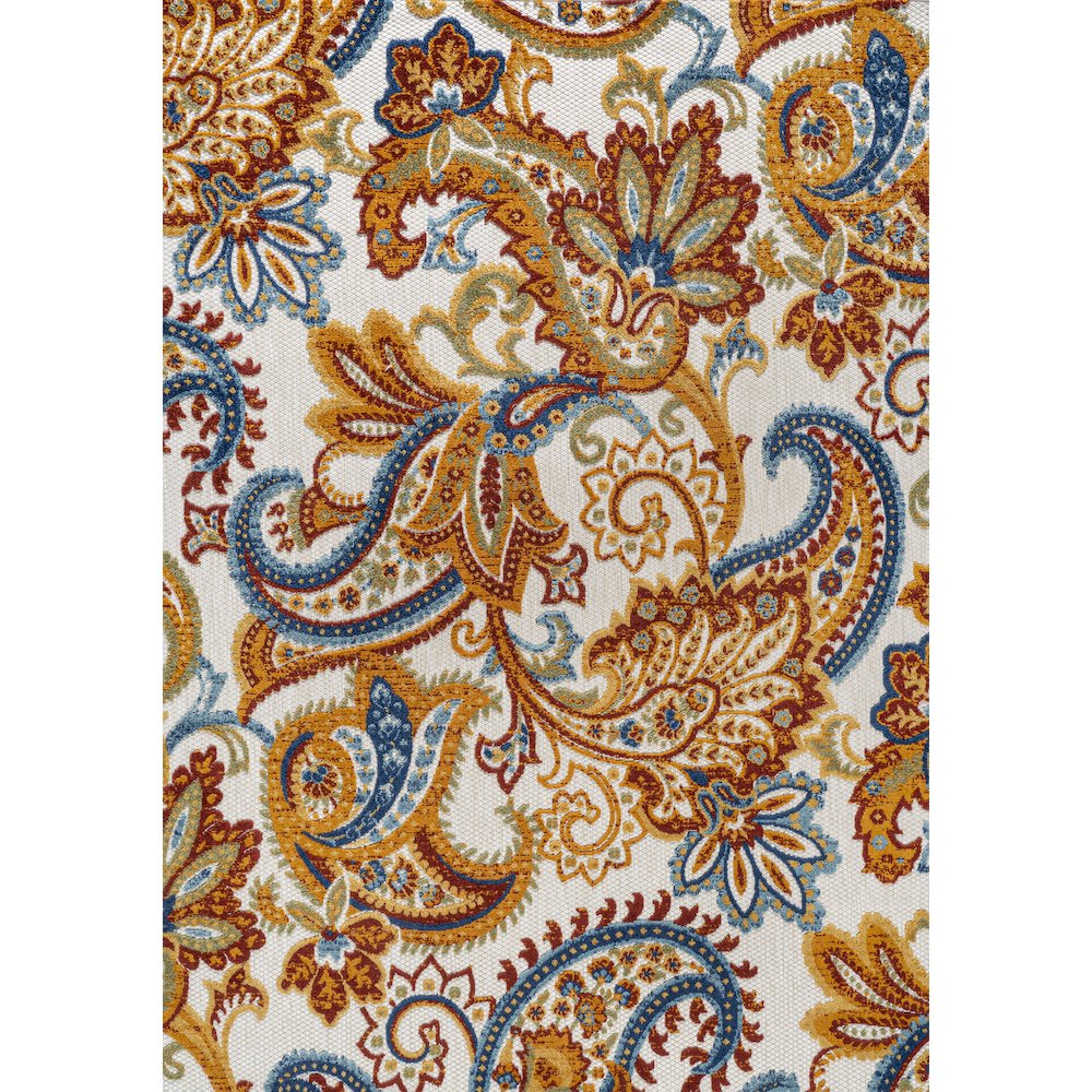 Gordes Paisley High-Low Indoor/Outdoor Area Rug. Picture 1
