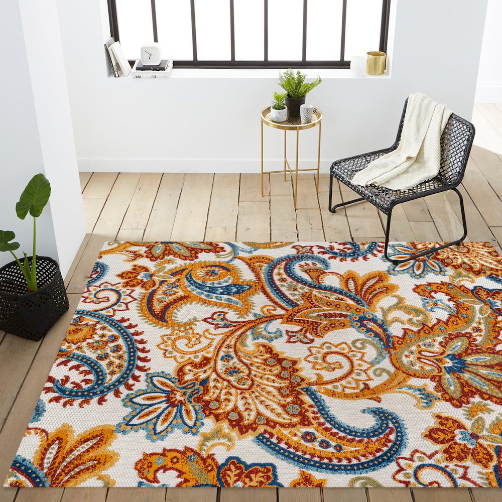 Gordes Paisley High-Low Indoor/Outdoor Area Rug. Picture 15
