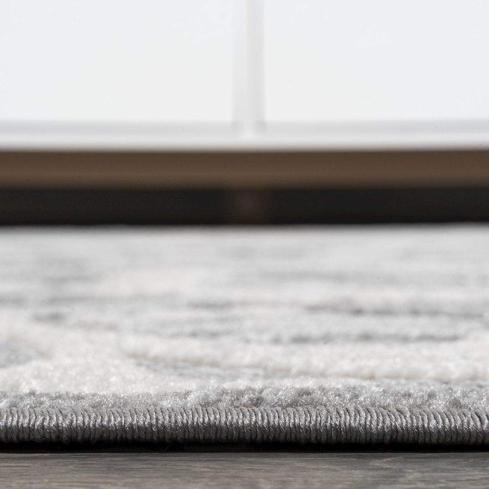 Lucena Modern Medallion High-Low Indoor/Outdoor Area Rug. Picture 11