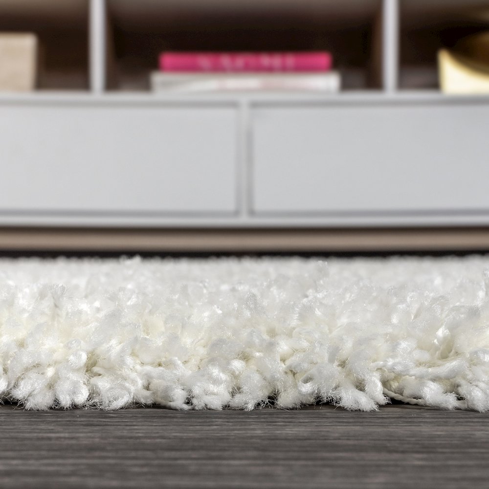 Mercer Shag Plush Tassel Area Rug. Picture 9