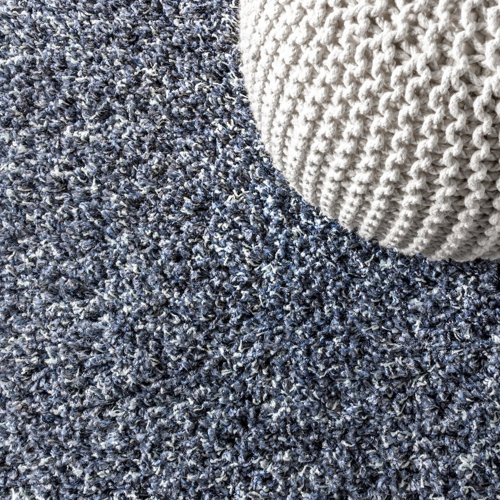 Mercer Shag Plush Tassel Area Rug. Picture 5