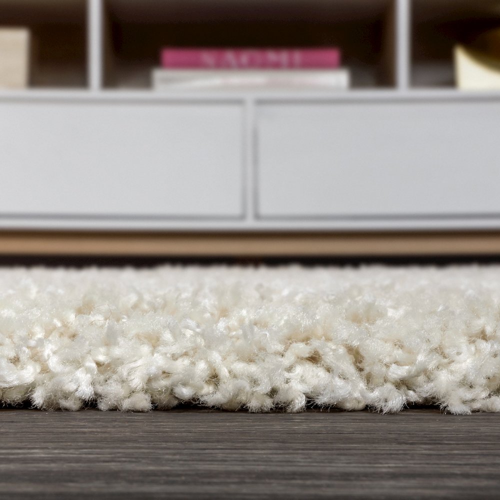 Mercer Shag Plush Tassel Area Rug. Picture 9