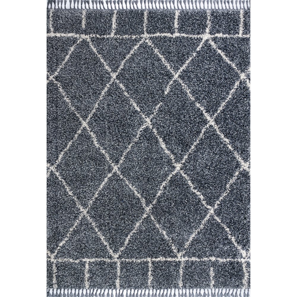 Mercer Shag Plush Tassel Moroccan Geometric Trellis Area Rug. Picture 1