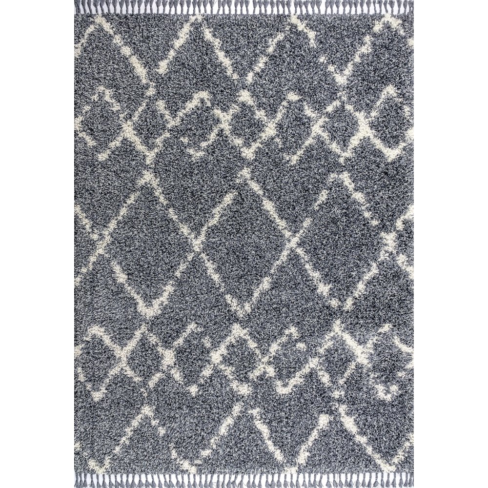 Mercer Shag Plush Tassel Moroccan Tribal Geometric Trellis Area Rug. Picture 1