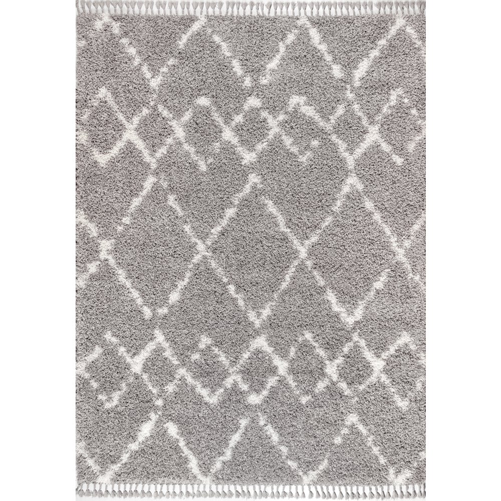 Mercer Shag Plush Tassel Moroccan Tribal Geometric Trellis Area Rug. Picture 1